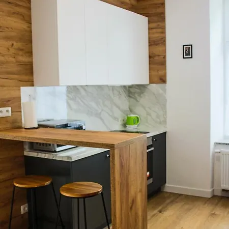 Apartamenty Przy Parku- Parking Gratis!!! Częstochowa Exterior foto