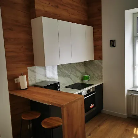 Apartamenty Przy Parku- Parking Gratis!!! Częstochowa Exterior foto