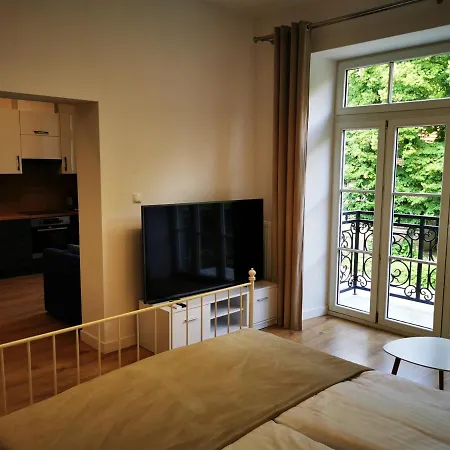 Apartamenty Przy Parku- Parking Gratis!!! Częstochowa Exterior foto
