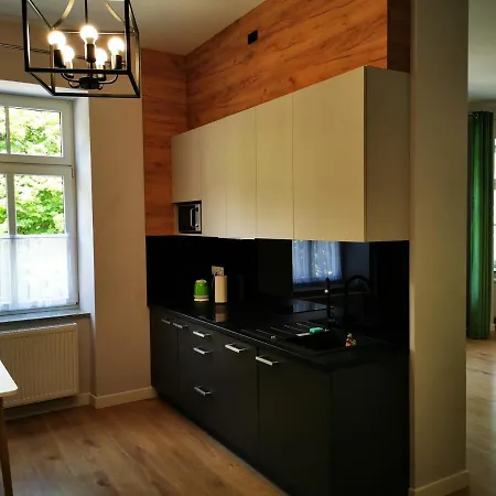 Apartamenty Przy Parku- Parking Gratis!!! Częstochowa Exterior foto
