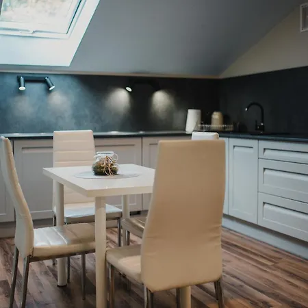 Apartamenty Przy Parku- Parking Gratis!!! Częstochowa Exterior foto